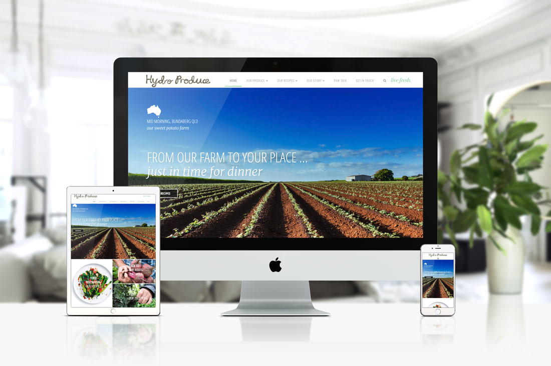 Hydro Produce - Design Counsel Brochure Web Project Showcasing Fresh Produce & Recipes.