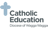 catholic-education-diocese-wagga-wagga-design-counsel-client